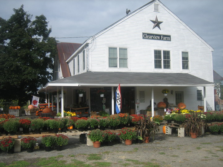 clearview farms to chili avenue