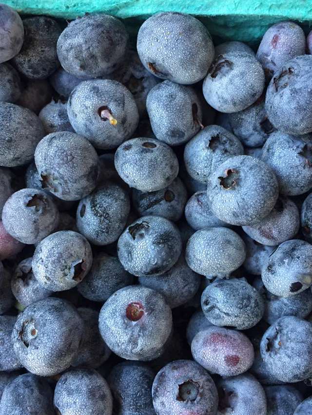 Buhrmaster Family Farm PickYourOwn.farm