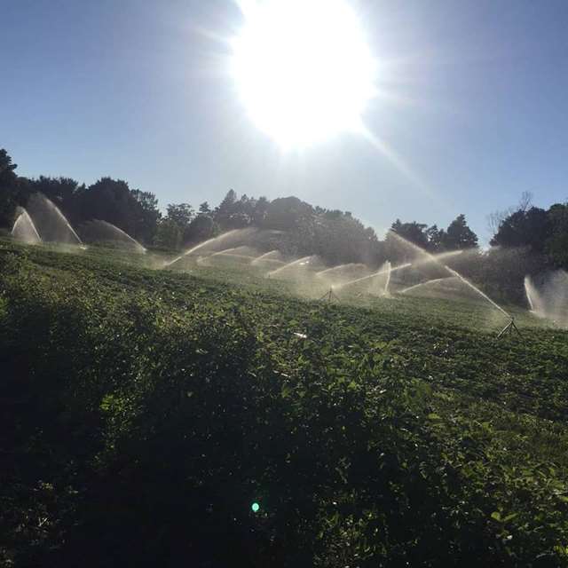 Buhrmaster Family Farm PickYourOwn.farm