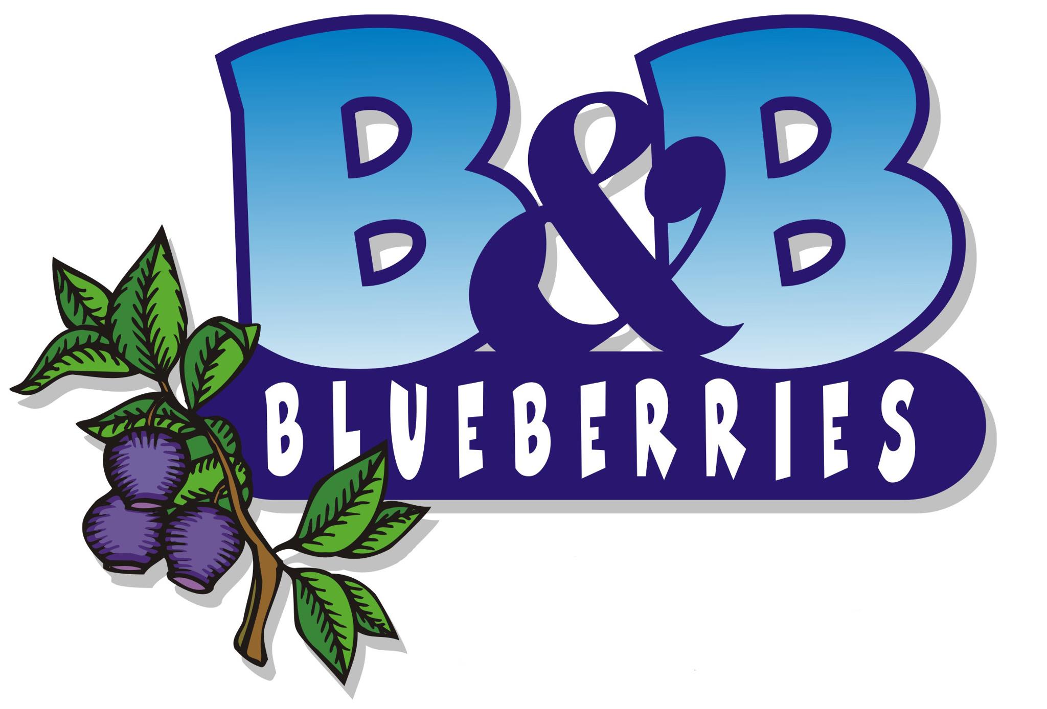 B&B Blueberries | PickYourOwn.farm